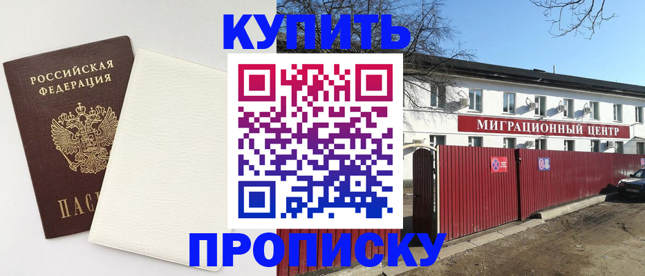 где прописаться в Пионерском